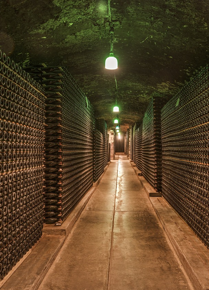 Wineries Tour